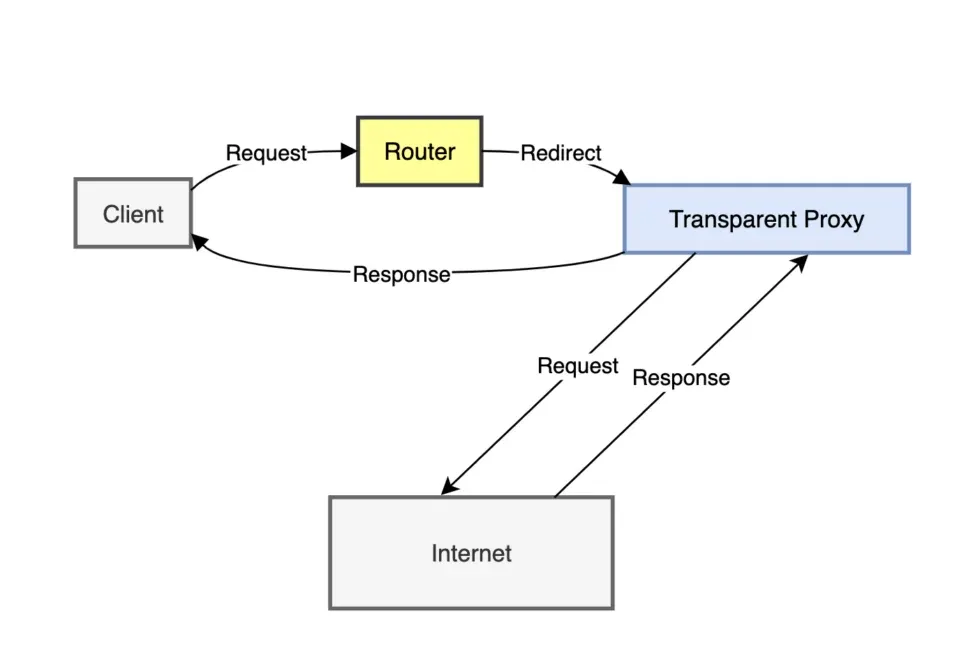 Схема прохождения интернет-трафика через прозрачный прокси-сервер / Diagram of Internet traffic passing through a transparent proxy server