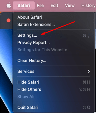 Настройки Safari с открытым разделом Settings / Safari settings with the Settings section open