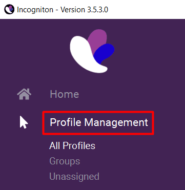 Раздел Profile Management в Incogniton со списком браузерных профилей / Profile Management section in Incogniton showing a list of browser profiles