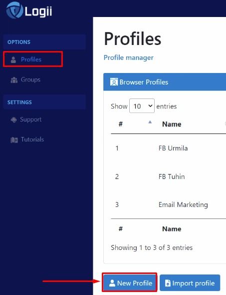 Создание нового профиля в браузере Logii / Creating a new profile in the Logii browser