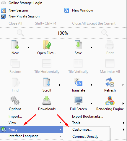 Меню Avant Browser с открытым разделом Proxy и пунктом Customise для настройки прокси / Avant Browser menu with the Proxy section and Customise option for proxy configuration