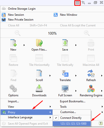 Список прокси в Avant Browser с выбранным сервером для текущего подключения / Proxy list in Avant Browser with a server selected for the current connection