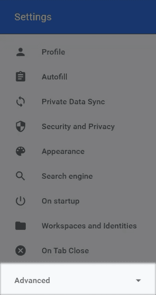 Раскрытый раздел Advanced в настройках Ghost Browser с дополнительными параметрами браузера / Expanded Advanced section in Ghost Browser settings with additional browser options