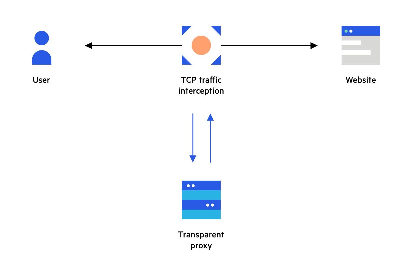 Обработка и перенаправление HTTP-запроса прозрачным прокси / Processing and forwarding an HTTP request by a transparent proxy